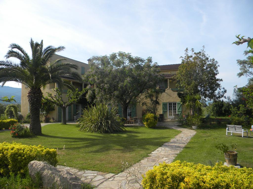 Auberge Les Oliviers Lucciana  Exterior photo